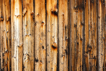 Charred Wood Texture