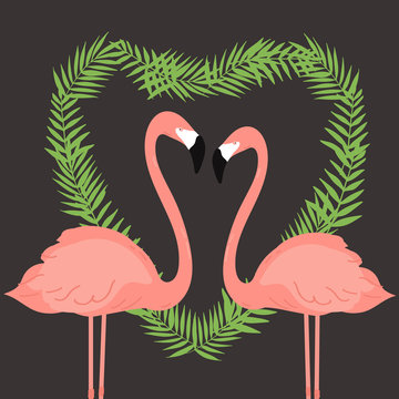 Flamingos.Vector illustration.