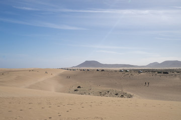 Several cars on the road in the sand dunes 