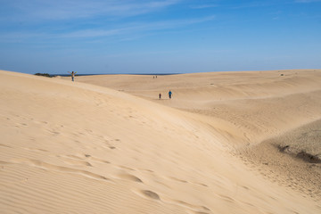 Yellow sand dunes and bright blue sky 