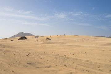 Fototapeta na wymiar Yellow sand dunes and bright blue sky 
