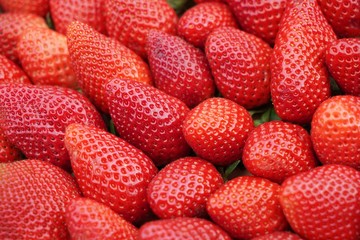.........Erdbeeren, Früchte, Obst
