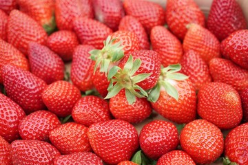 .......Erdbeeren, Früchte, Obst