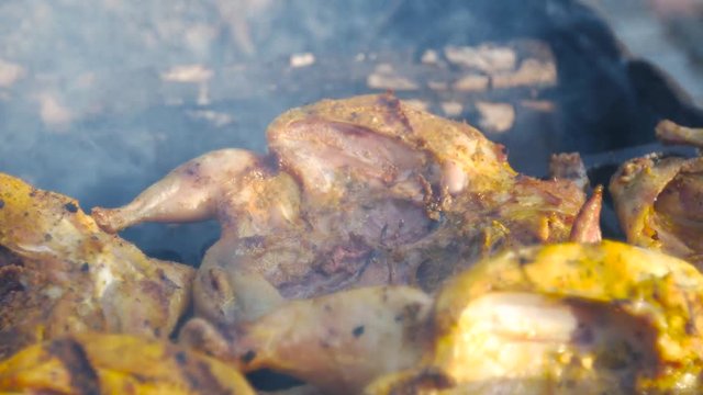 Dish grilled chicken tabako