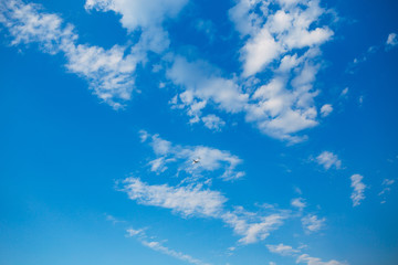 The plane flies in the blue sky. With white clouds.