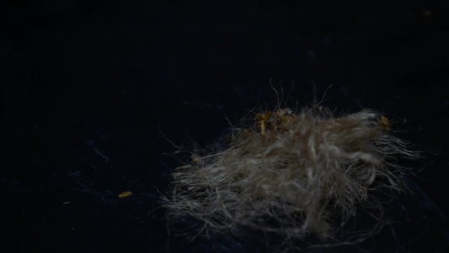 Bright sparks fron the flint make natural fire