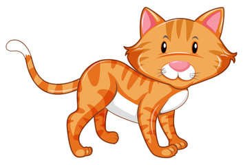 Ginger cat with happy face