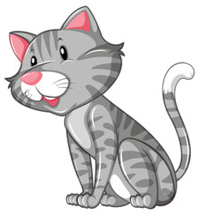 Gray cat sitting alone