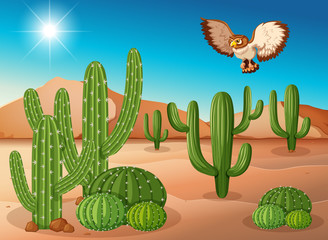 Owl flying over cactus in desert