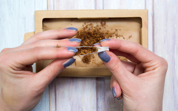 Female Hands Rolling Cigars With Tobacco