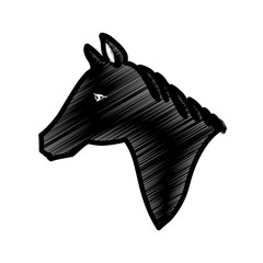 Horse head silhouette icon vector illustration graphic design