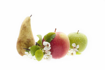 Świeżę owoce - różne, jabłko, gruszka   - obrazy, fototapety, plakaty