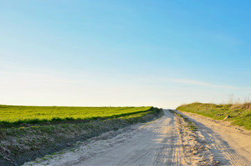 A panoramic view of green spring fields, blue cloudless sky and a rural road in perspective. 