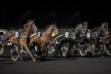 course de chevaux