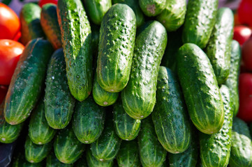 pile of fresh cucumbers on the market
