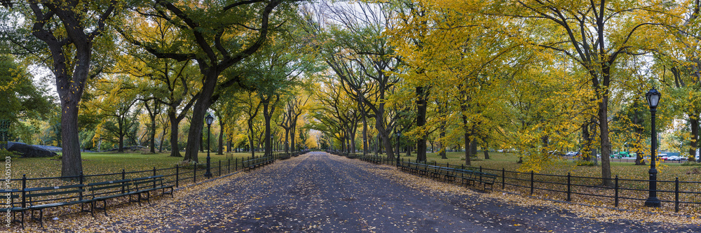 Wall mural Panorama of The Mall in Central Park, New York on a beautiful Fall day