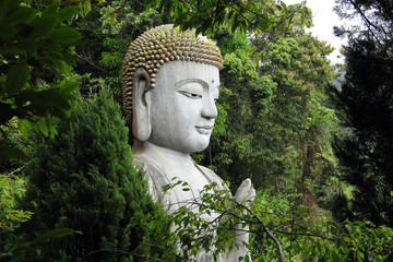 Buddha statue behind the trees. Chin Swee Temple, Malaysia