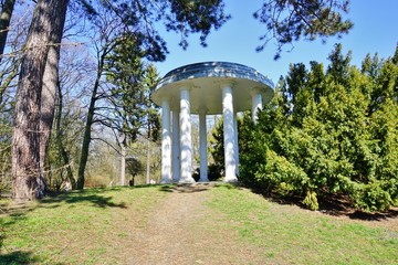 Spring in city park 