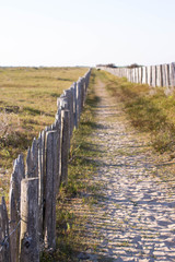 Chemin plage