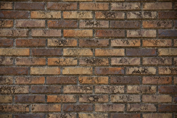 壁のテクスチャー