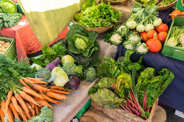 Different kinds of vegetables for sale at a market