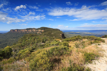Fototapeta na wymiar Narrowneck Plateau Blue Mountains Australia