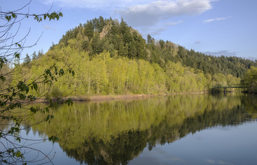 Reflectios in a river Oregon state.