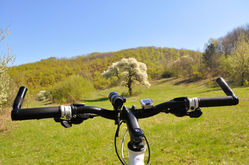 Fototapeta na wymiar Bicycle in nature in front of blooming tree, Bicycle tourism concept