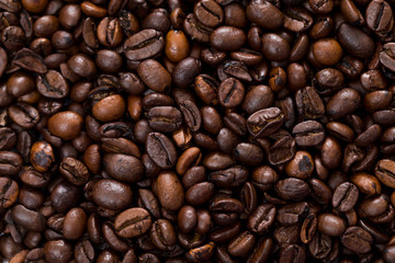 Fototapeta premium Coffee bean