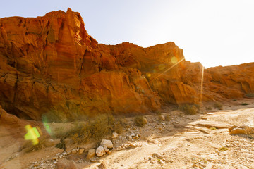 Fototapeta na wymiar View of Timna Valley in Israeli Desert.