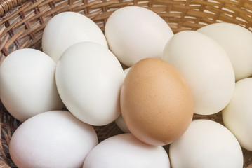 Closeup brown chicken egg on pile of white duck egg on wood basket background