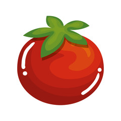 fresh tomato vegetable icon vector illustration design