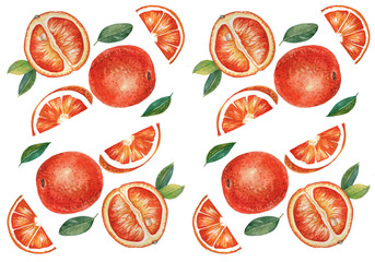 Watercolor orange fruit composition. Isolated on white. Ideal for food packaging design.  organic fresh eco food illustration 