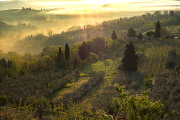 Fototapeta premium Typical Tuscan landscape