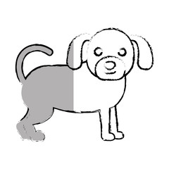 cute dog pet icon vector illustration design