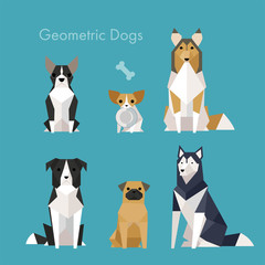 various breeds animal dog low poly set