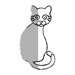 cat cute pet icon vector illustration design