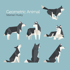 geometric low poly husky dog flat design illustration set © MINIWIDE