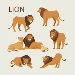lion family various poses flat design illustration set © MINIWIDE