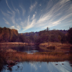 Fototapeta na wymiar Fall forest landscape river amazing autumn background