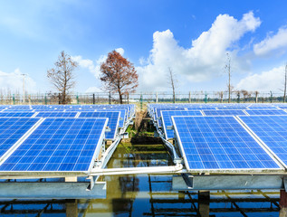 solar panels under blue sky