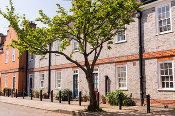 Classic British restored Victorian brick houses on a local road with tree growing on the pavement