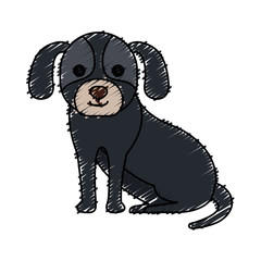 cute dog pet icon vector illustration design