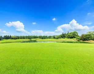 Zelfklevend Fotobehang green grass under the blue sky © ABCDstock