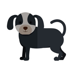 cute dog pet icon vector illustration design
