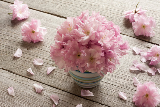 Pink Kwanzan Cherry Blossoms On A Wooden Table