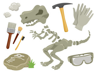 Dinosaur Fossils Paleontology Elements © BNP Design Studio
