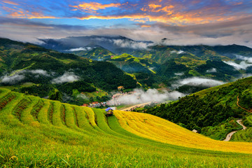 Fototapeta premium Rice terrace on during sunset ,Vietnam,vietnam rice terrace,rice field of vietnam,terrace rice field,mu chang chai rice field