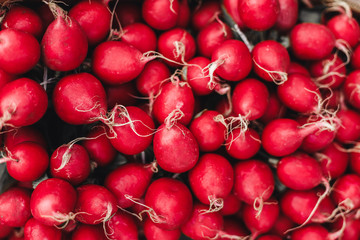 Red radish beautifully spread out on the table closeup