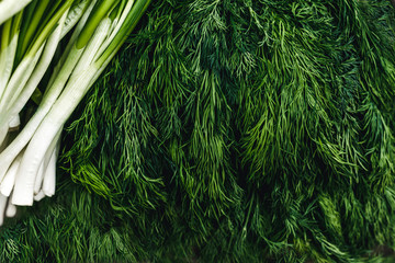 Green onions and parsley on the table closeup